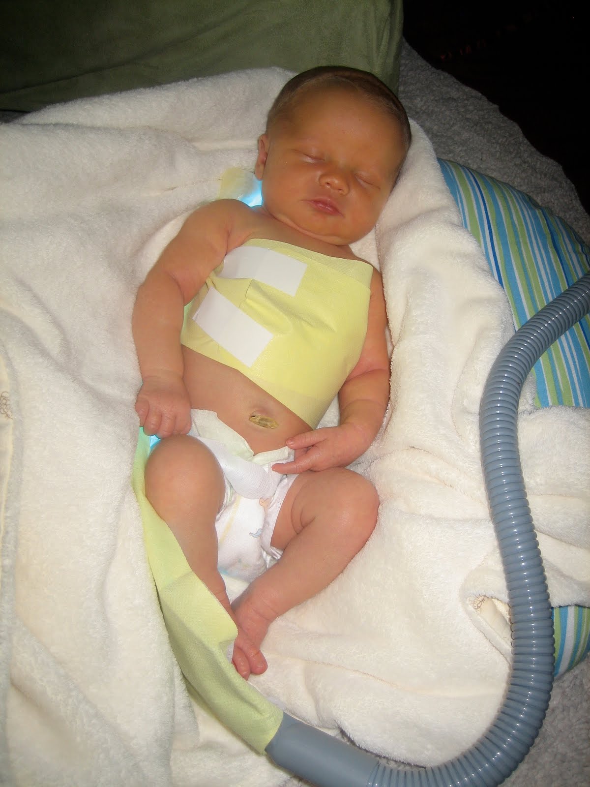 Ludwig Family Randomness Billy Blanket