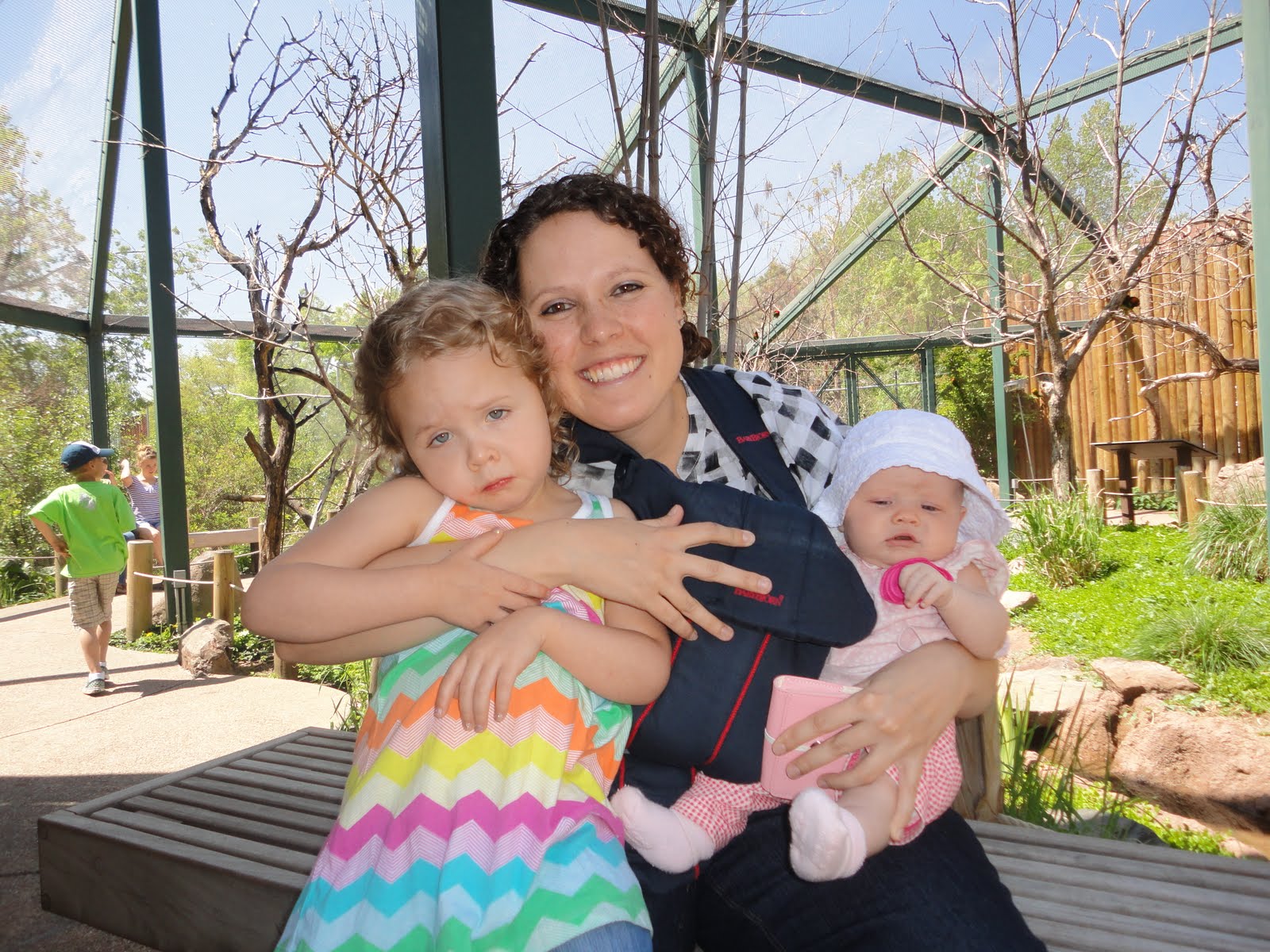 Ludwig Family Randomness: Zoo Time