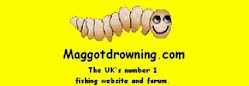 Maggotdrowning.com