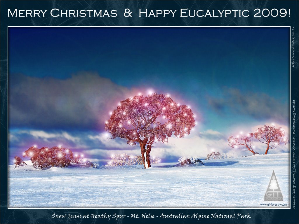 [Happy_Eucalyptic_2009_from_GIT_Forestry_Eucalyptologics.jpg]