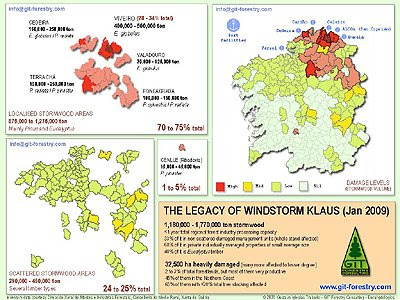 Spatial distribution of stormwood volumes after damage caused by windstorm Klaus to forestry resources in Galicia / Distribucion espacial de la madera de tormenta tras el daño causado por el huracan Klaus a los recursos forestales de Galicia / Gustavo Iglesias Trabado, GIT Forestry Consulting, Consultoria y Servicios de Ingenieria Agroforestal, Lugo, Galicia, España, Spain / Eucalyptologics, Information resources on sustainable eucalypt cultivation worldwide / Recursos de informacion sobre el cultivo sostenible del eucalipto en el mundo