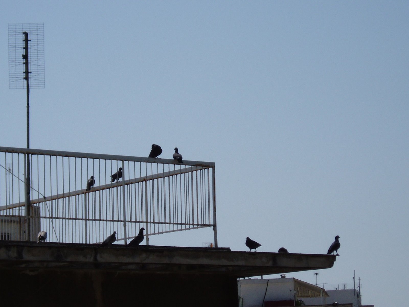 [synnefa-2009-14-May+001-2.jpg]