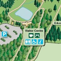 Bedgebury Pinetum Map