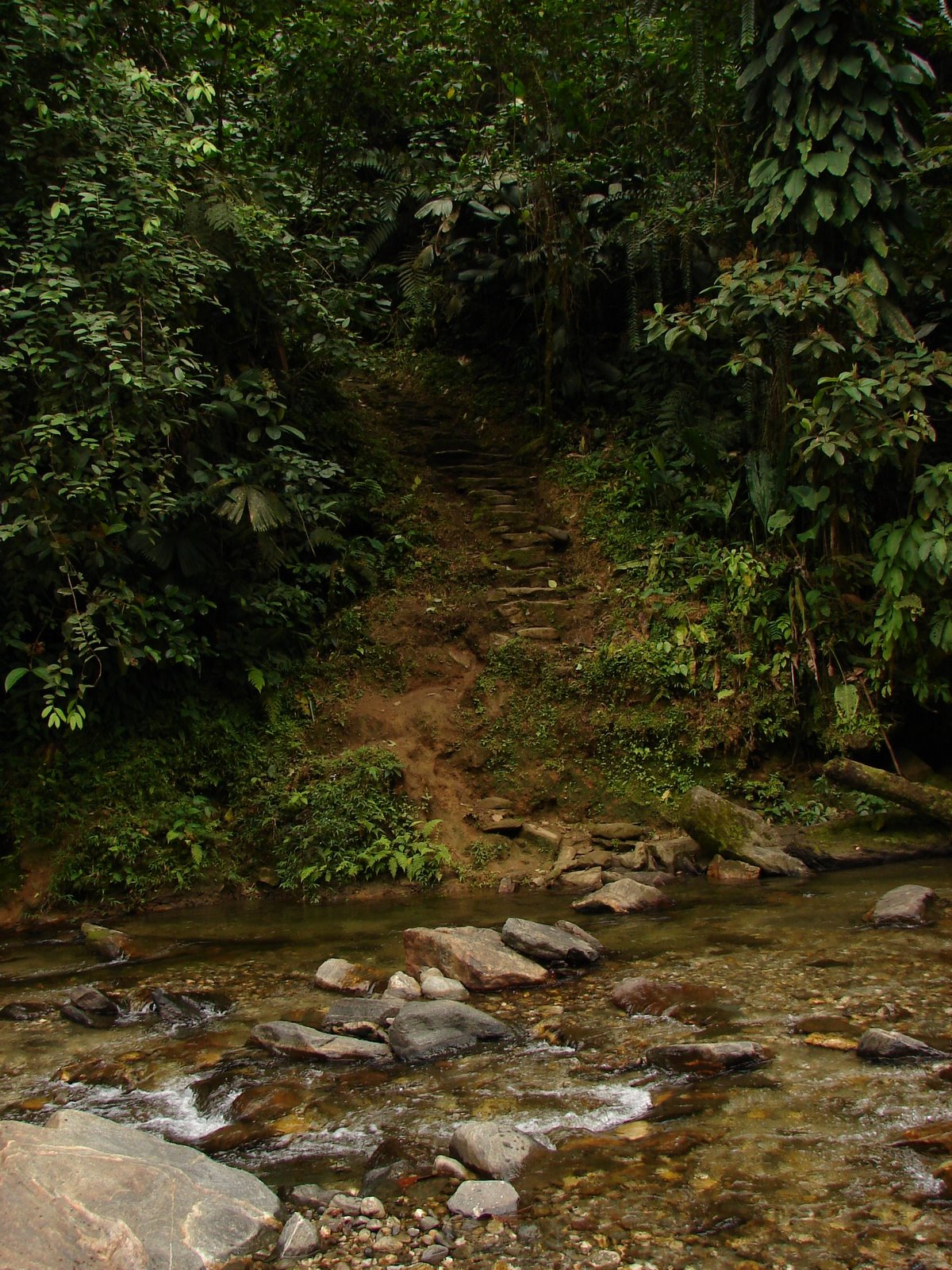 [DSC04472.JPG]