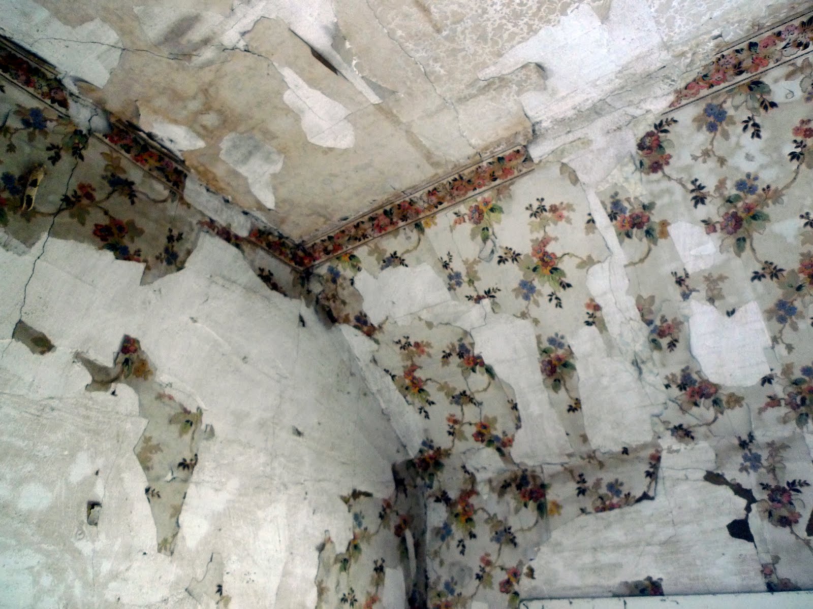Photography is Truth: Peeling Wallpaper