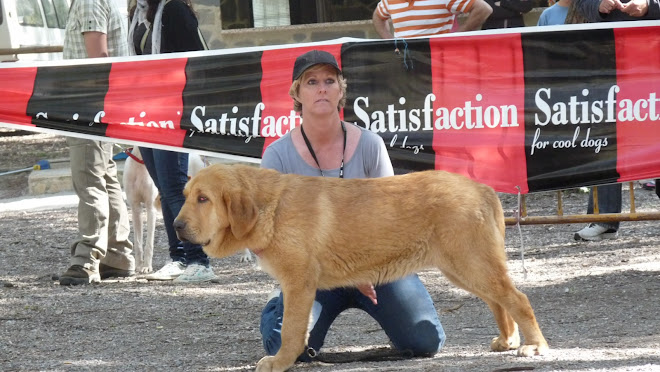 CLOE DE  CUATRO ELEMENTOS