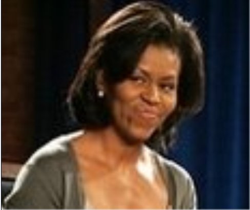Michelle Obama Super Ugly