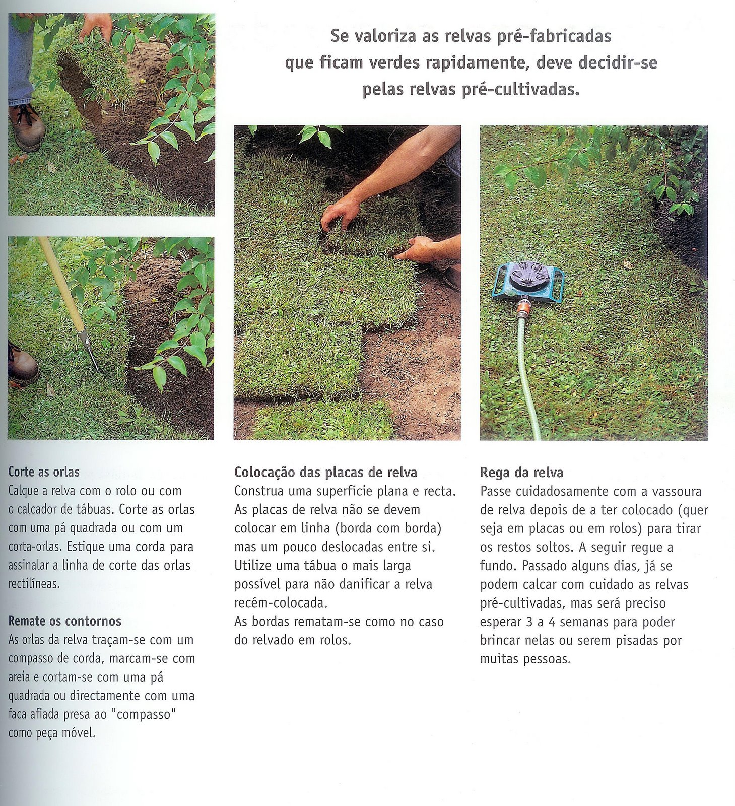 [PrÃ©-cultivads+2.JPG]