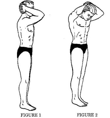 back stretching exercises