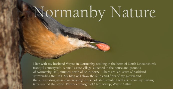 Normanby Nature