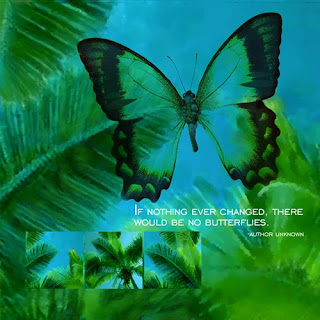 butterfly, inspiration, canvas wrapped giclee print