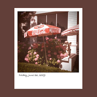 iPhone polaroid, hydrangeas, coca cola umbrella