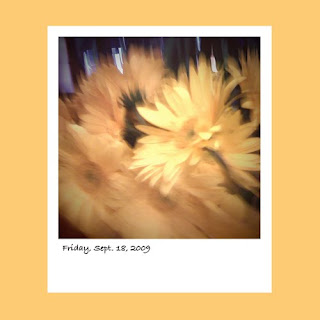 iPhone polaroid, flowers