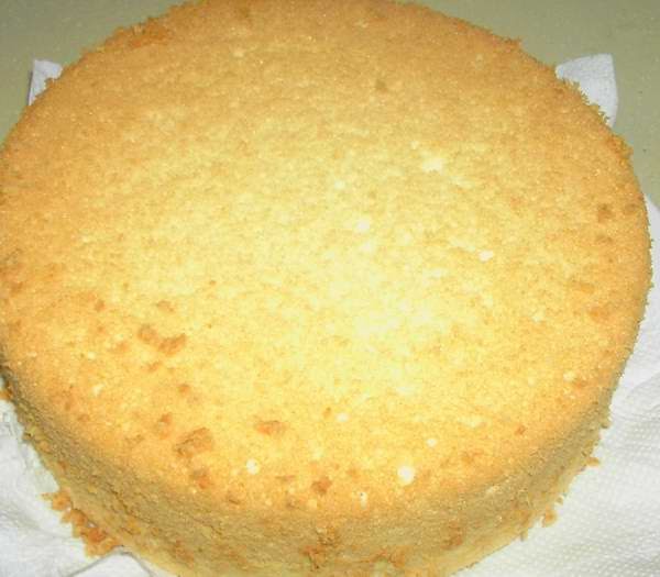 Blessed Homemaker Yogurt Chiffon Cake
