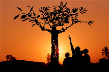 Mozambique:  Tree of Life