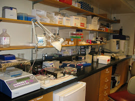 My Lab Bench