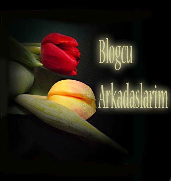 Blogcu Arkadaslarim