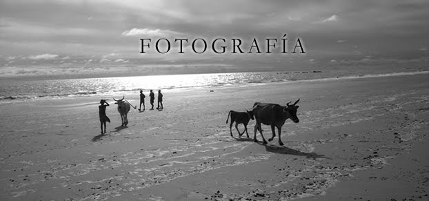 TORETEO - Fotografía Leandro Tejera / Omar Diatta
