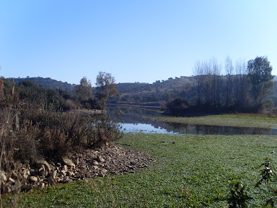 Altarejos