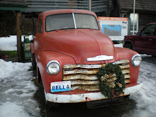 Bella's Car