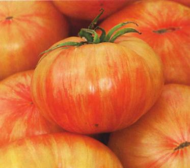 [Copia.jpg]