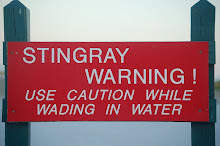 de waarschuwing voor roggen in zee