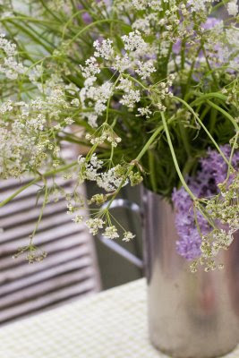 Con encanto . . .: Flores en el jardín