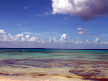 Beach, Cozumel