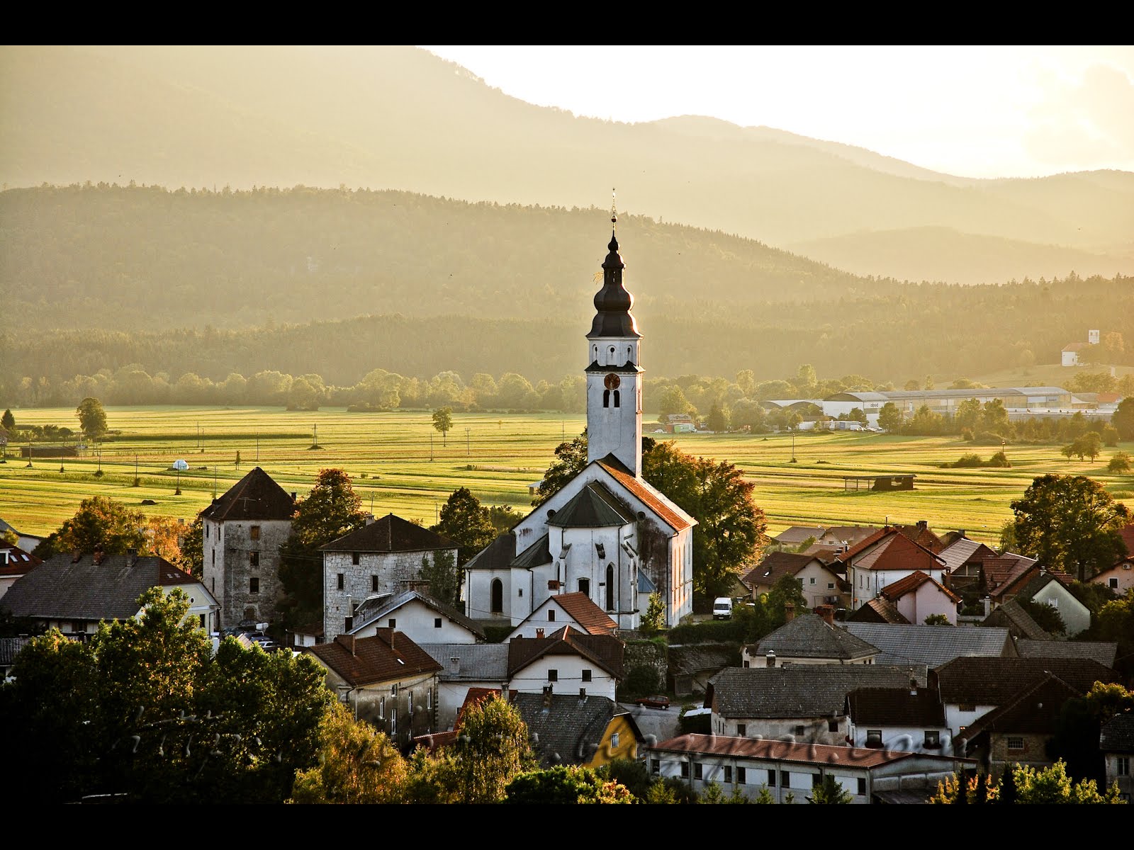 2002 FIFA World Cup - Wikipedia