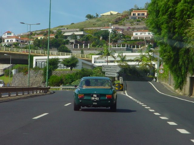 [DSC00169.JPG]