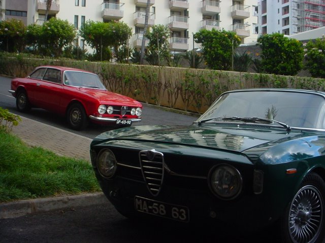 [DSC00664.jpg]