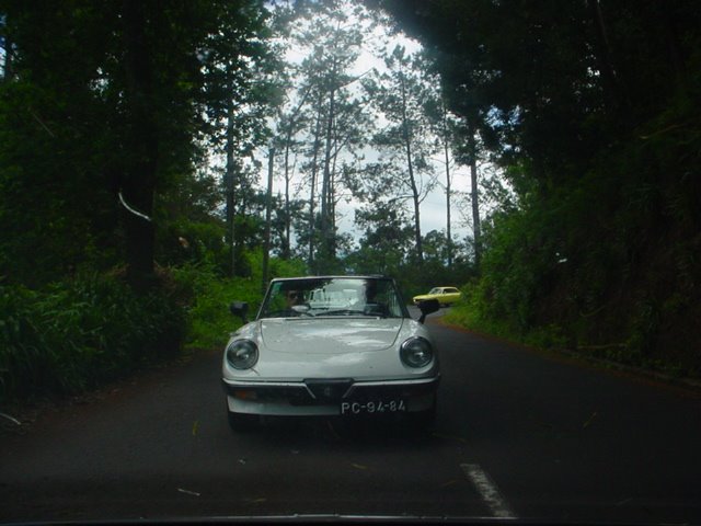 [DSC02813.JPG]
