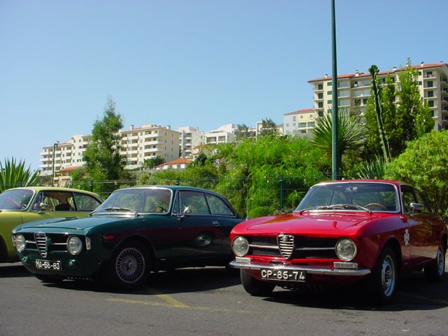 [DSC04543.JPG]