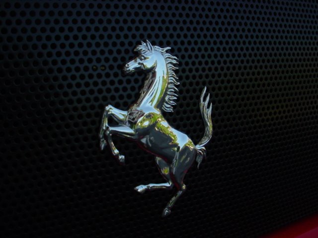 [DSC04567.JPG]