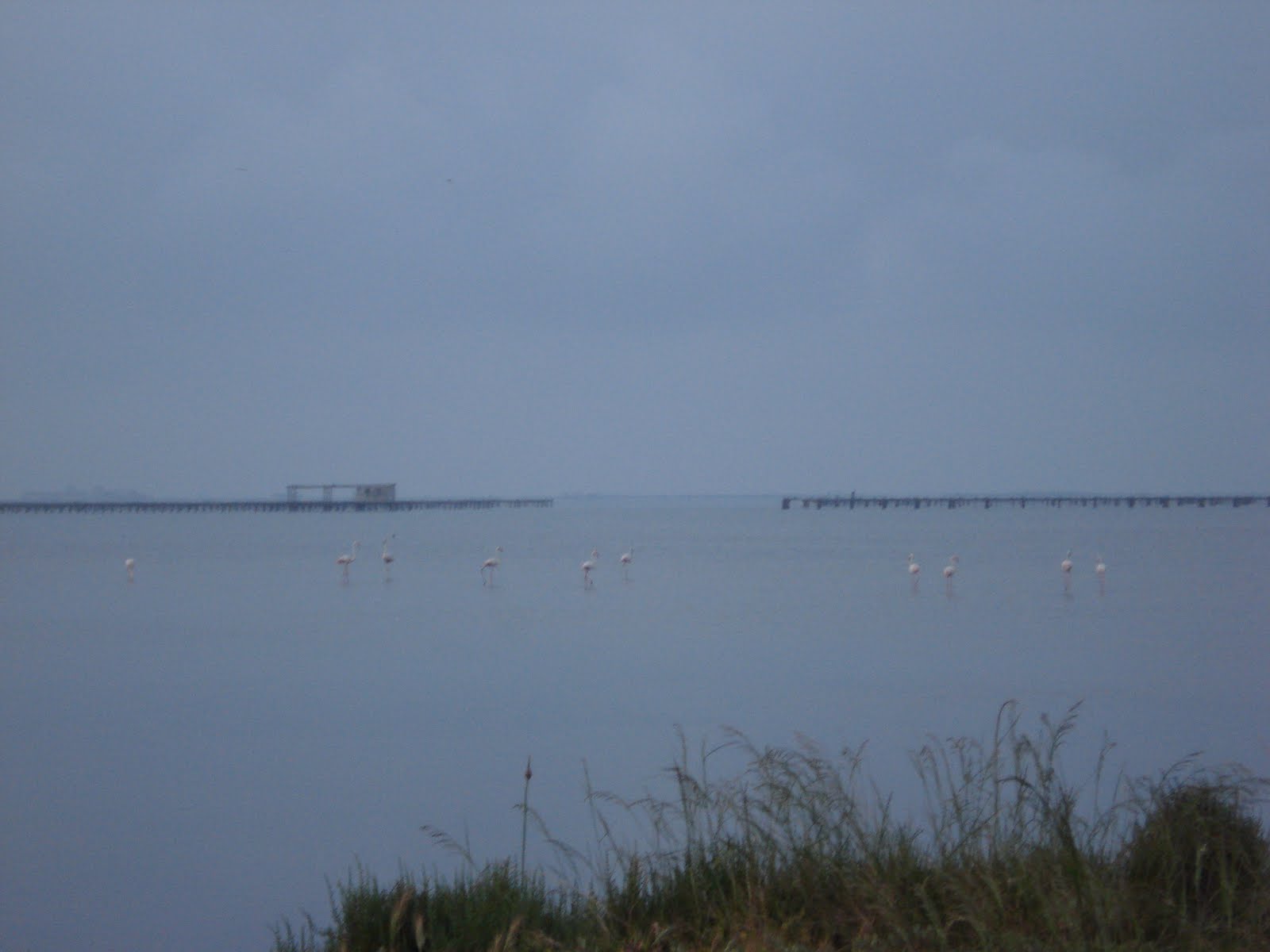 [DSC03749.JPG]