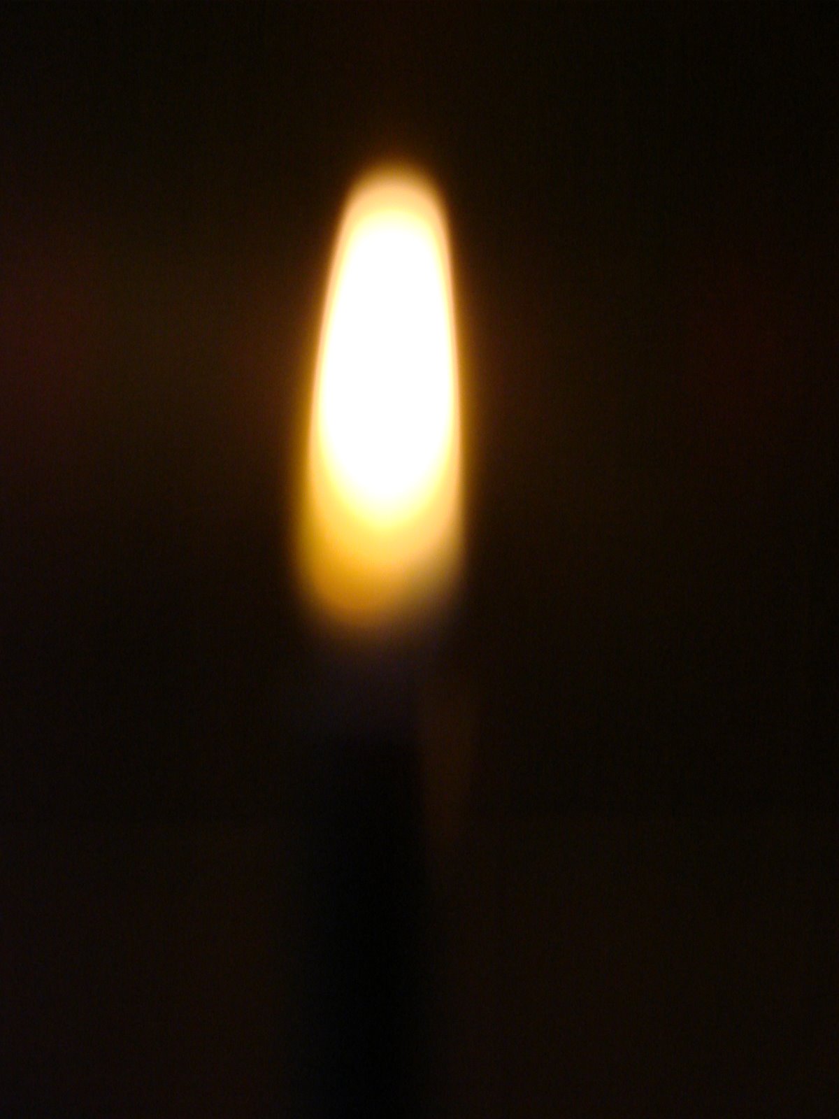 [DSC01410.JPG]