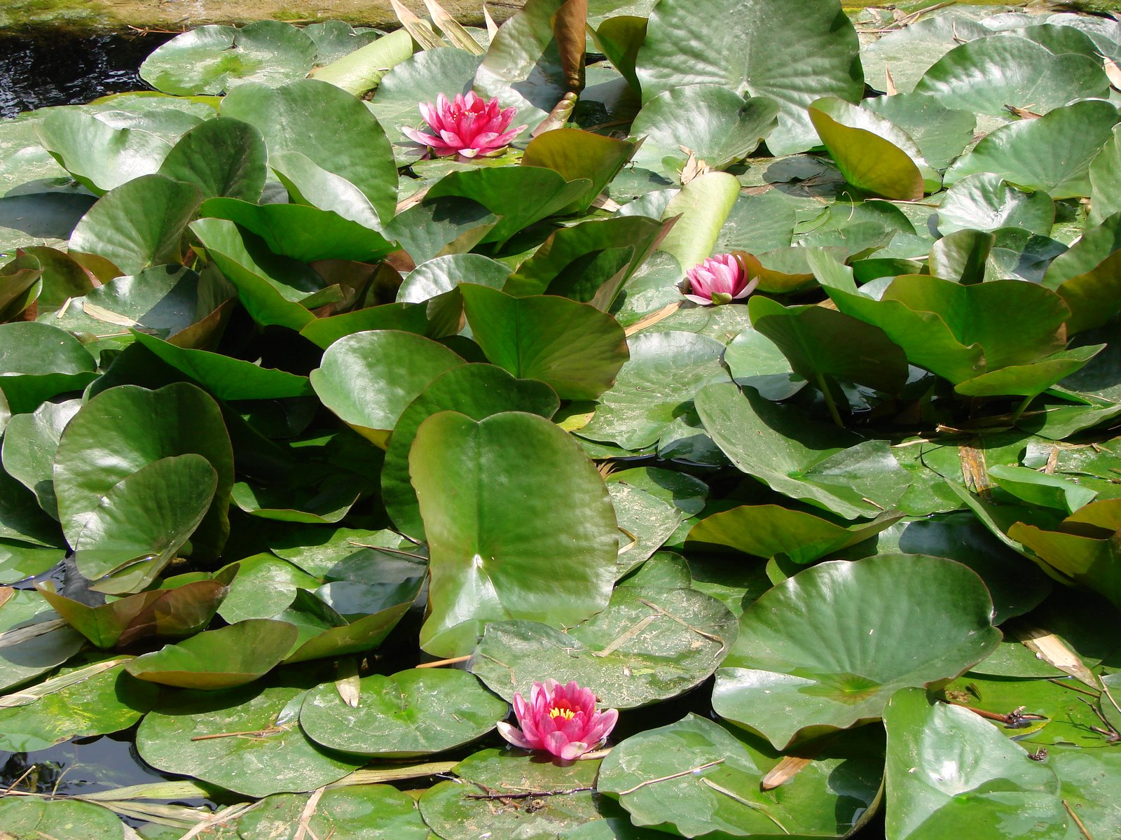 [DSC07576.JPG]