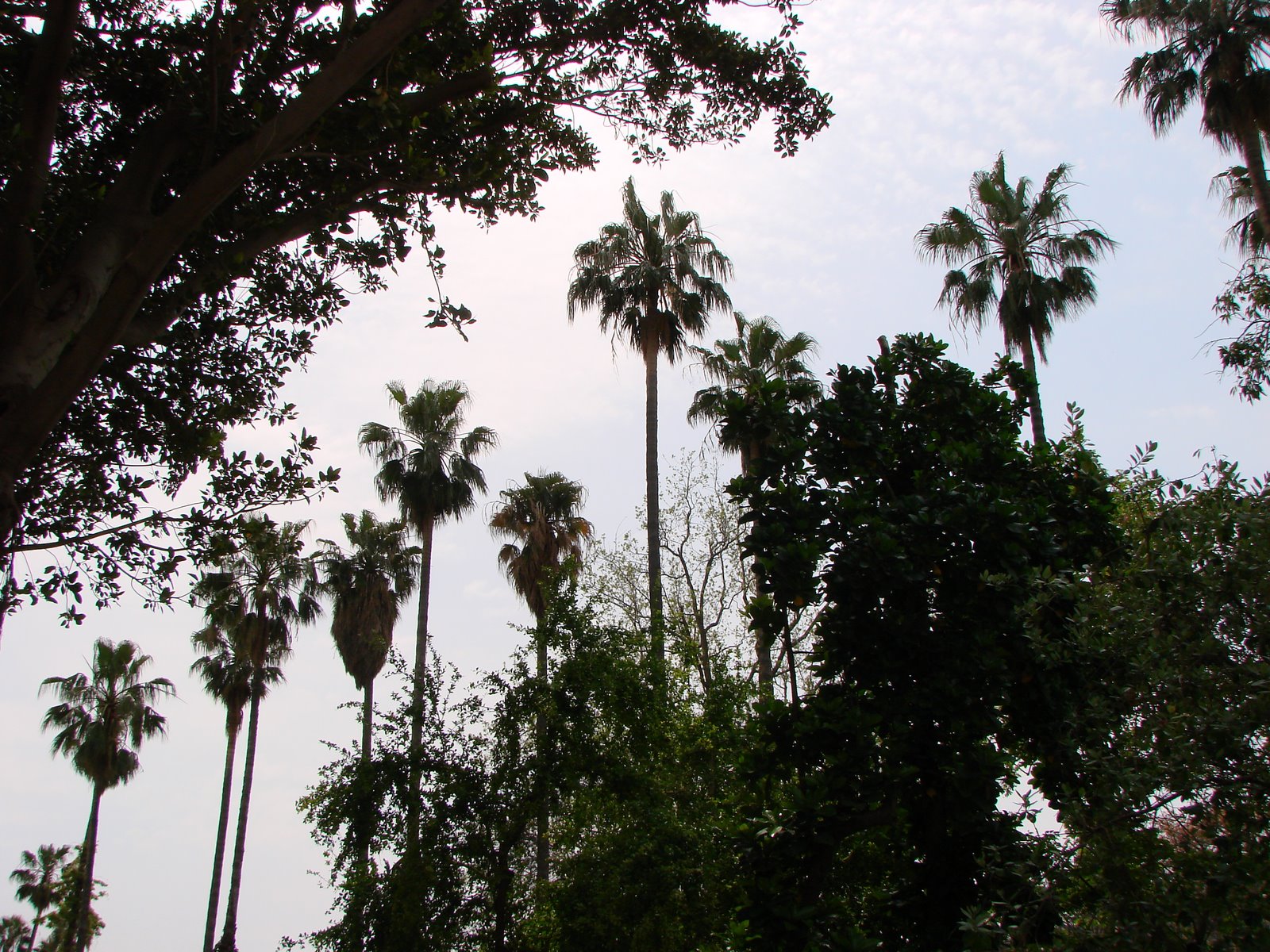 [DSC07621.JPG]