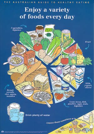Australian+healthy+food+plate