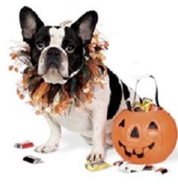 [GTR-CHRMP-77078-2.jpg]