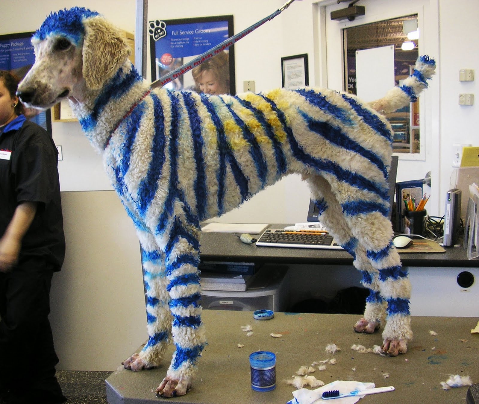 [Luke.zebra.Fran.JPG]