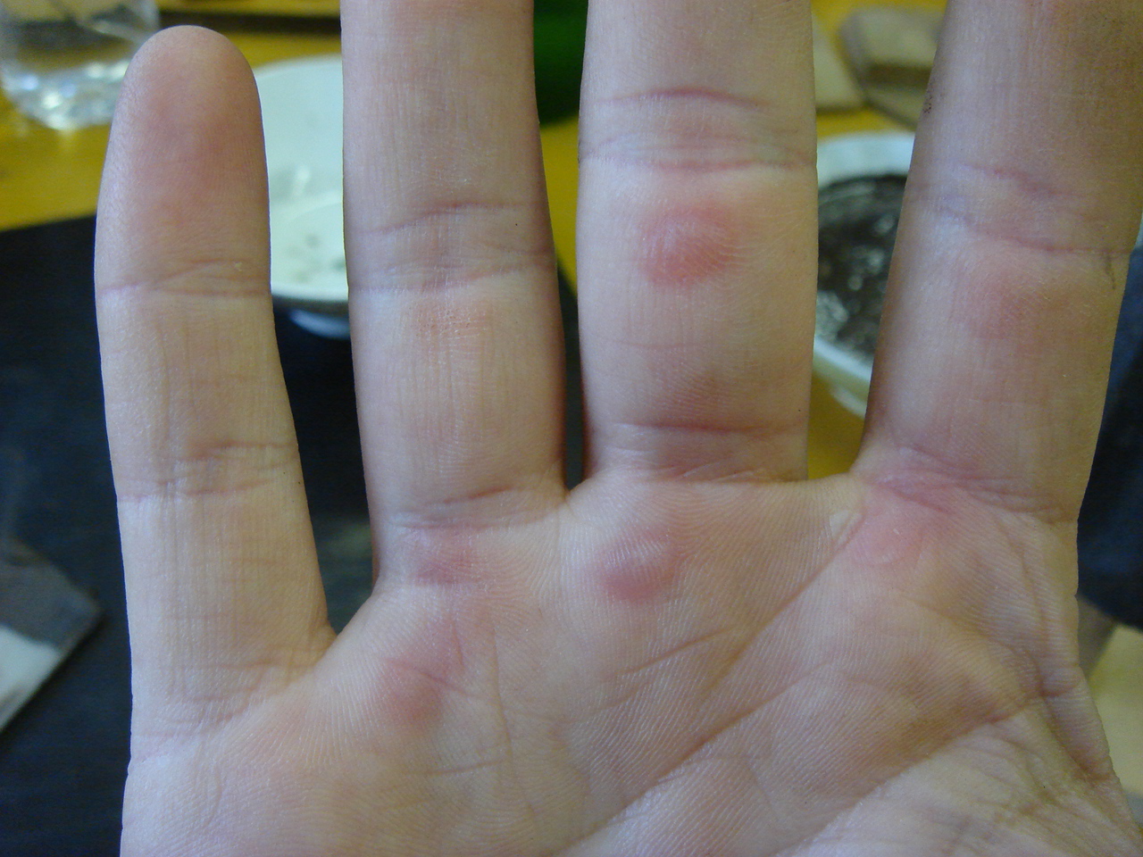 [DSC01600.JPG]