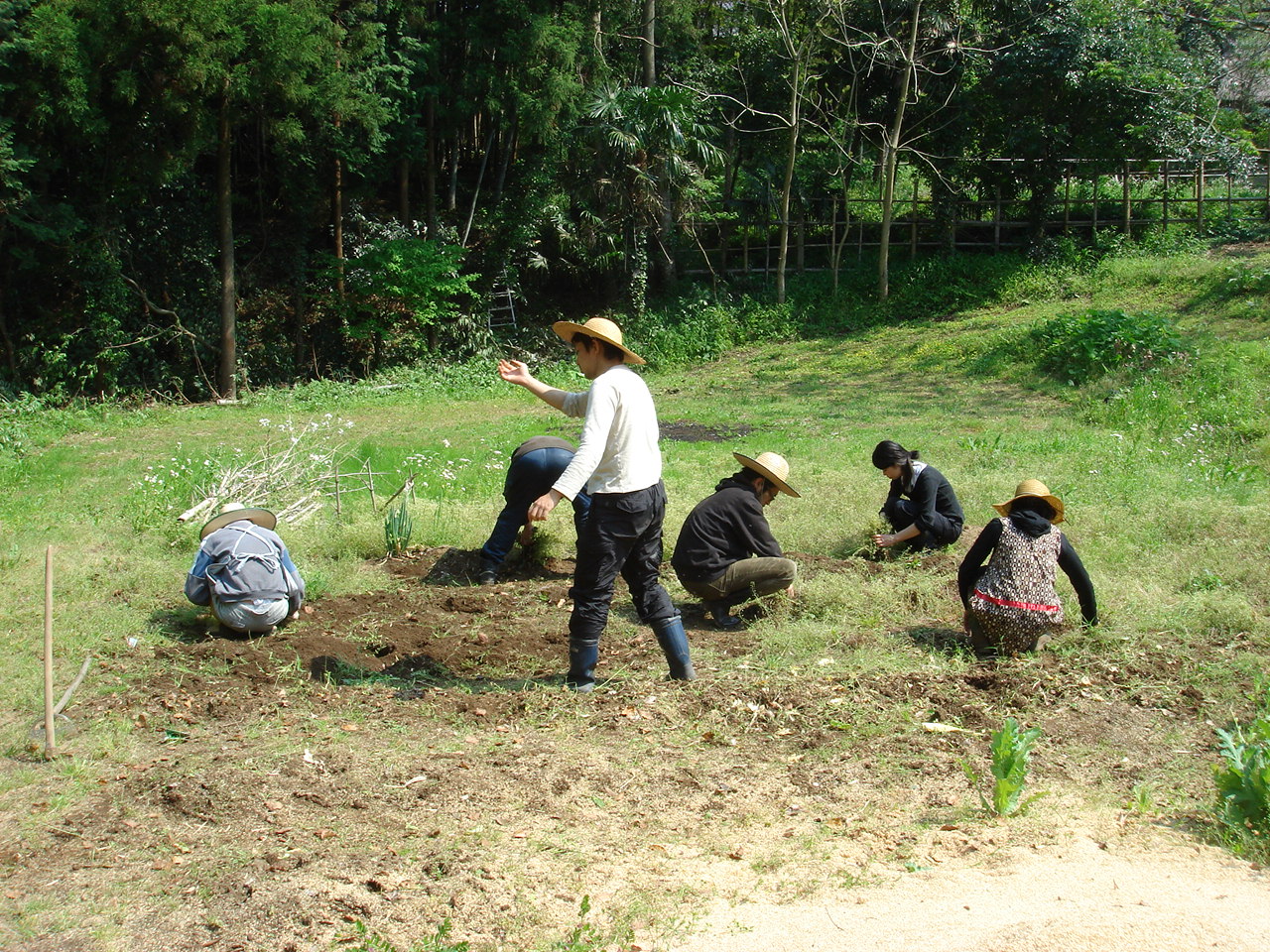 [DSC01582.JPG]