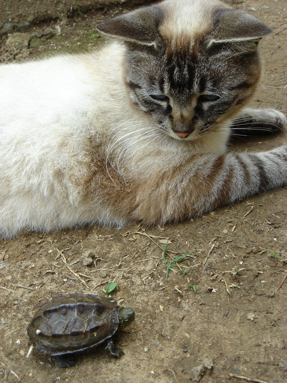 [DSC01729.JPG]