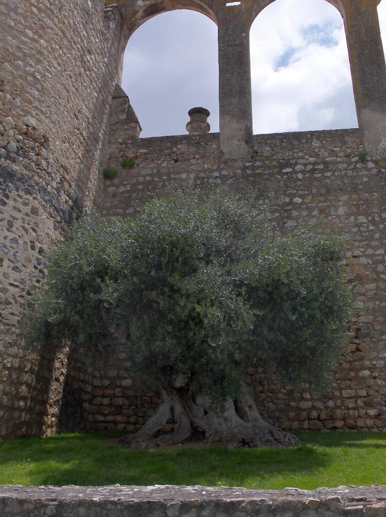 [HPIM2629_Medium.JPG]