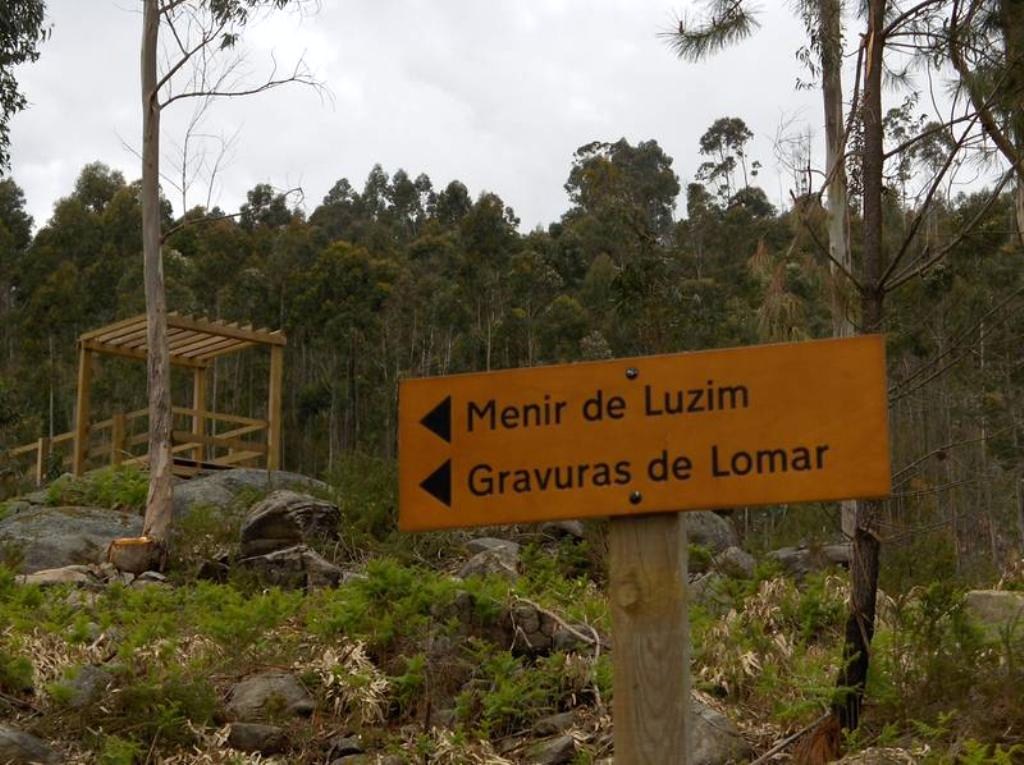 [HPIM9645+(Medium)_Medium.JPG]