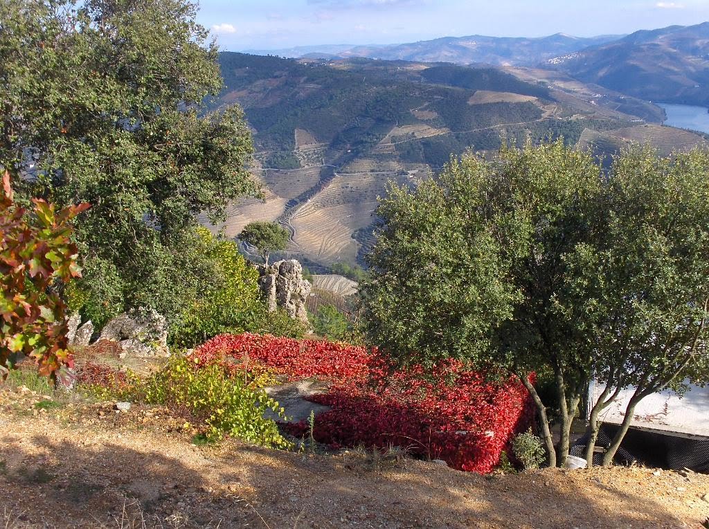 [HPIM4228_Medium.JPG]