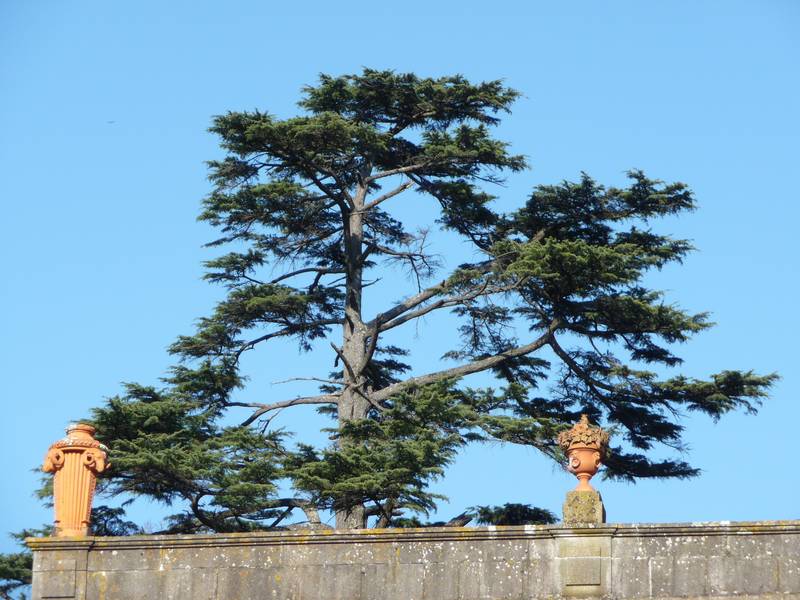 [P1010180+(Medium).JPG]