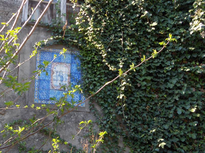 [HPIM8884+(Medium).JPG]