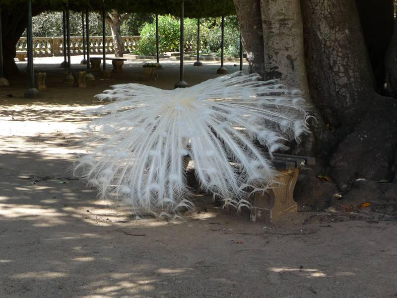 [P1020022+(Medium).JPG]